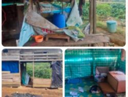 Diduga Terjadi Pencurian dan Pembakaran Isi Rumah Kebun di Kampung Istiqamah.