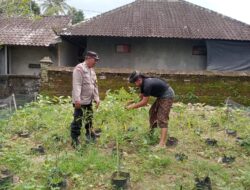 Bhabinkamtibmas Nyalian Apresiasi Warga Manfaatkan Pekarangan untuk Tanaman Pangan