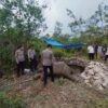 Penanganan Kematian Gajah Tari, Kapolsek Ukui Pastikan Transparansi dan Keamanan
