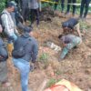Dua Mayat Pria Ditemukan di Kebun Alpukat, Gegerkan Warga Singkawang Selatan