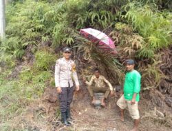 Bhabinkamtibmas Desa Balam Merah Sambang Warga, Imbau Jaga Harkamtibmas dan Bijak Gunakan Medsos