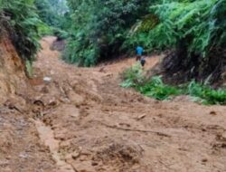 M.Diamin Minta Dinas Sosial Provinsi dan Kabupaten Segera Berikan Bantuan Pangan ke Lebong Tandai Bengkulu Utara