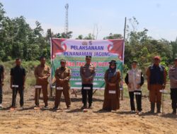 Polsek Pangkalan Lesung dan Forkopimcam Tanam Jagung di Lahan Ketahanan Pangan