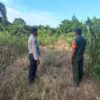 Polsek Langgam Laksanakan Patroli Antisipasi Karhutla