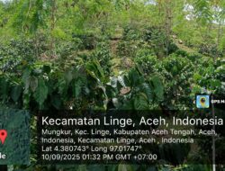 Tidak Hanya Di Tegakan Pinus dan Getah Pinus,PT.THL Bermitra Dengan Masyarakat Mungkur dan PantanNangka,