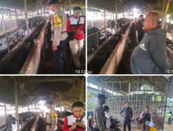 Bhabinkamtibmas Tegak Sambang Warga, Monitoring Vaksinasi Hewan Sapi