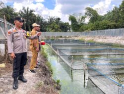 Jaga Ketahanan Pangan, Polsek Kerumutan Turun ke Lahan Budidaya Ikan Lele