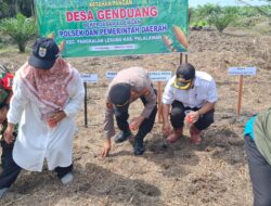 Dukung Ketahanan Pangan, Kapolsek Pangkalan Lesung Tanam Jagung di Genduang