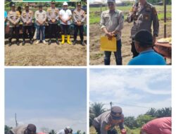 Dukung Swasembada Pangan, Polsek Pangkalan Kuras Ikut Tanam Jagung di Lahan PT. Safari Riau