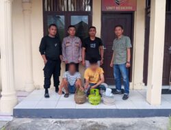 Polsek Langsa Tangkap Spesialis Pembongkar Rumah yang Meresahkan Warga, Dua Pelaku Dibekuk di Gampong Daulat