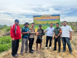 Penanaman Jagung Serentak di Ukui, Polsek Ukui Perkuat Ketahanan Pangan Nasional