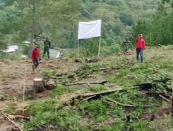 Ratusan Bibit Pohon Ditanam di Linung Bulen Dua dalam Program TMMD ke-126