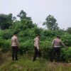 Patroli Antisipasi Karhutla di Musim Panas