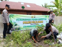 Hari Pohon Nasional, Penanaman Bibit Buah di Pangkalan Kuras