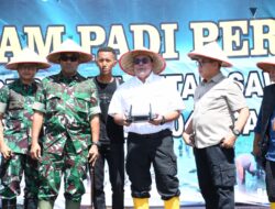 Penanaman Padi Perdana di Lahan Cetak Sawah Pangkalan Lampam Kabupaten OKI