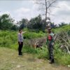 Cegah Karhutla di Desa, Polsek Bunut Bersama TNI Gelar Patroli