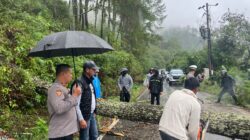 Respon Cepat Polres Aceh Tengah, Arus Lalu Lintas Jalur Takengon–Bintang Kembali Normal Usai Pohon Tumbang