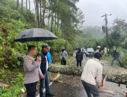 Respon Cepat Polres Aceh Tengah, Arus Lalu Lintas Jalur Takengon–Bintang Kembali Normal Usai Pohon Tumbang
