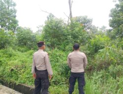 Patroli Karhutla di Pelalawan, Polisi Temukan Kondisi Nihil Titik Api