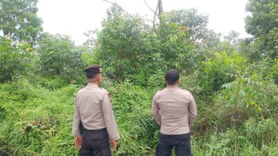 Patroli Karhutla di Pelalawan, Polisi Temukan Kondisi Nihil Titik Api