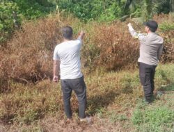 Cegah Karhutla, Polsek Kuala Kampar Gelar Sosialisasi dan Sebarkan Maklumat Kapolda Riau