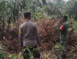 Polsek Langgam Tingkatkan Sinergitas dengan TNI Koramil 09 untuk Jaga Kamtibmas