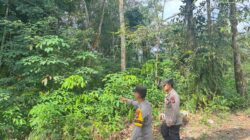 Patroli Karhutla di Titik Rawan Sorek Satu, Pelalawan