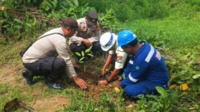 Polsek Ukui dan PT Pertamina EP Lirik Tanam Pohon Buah, Dukung Program Green Policing