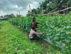 Petani Lokal Dapat Pendampingan Polri untuk Panen Sayuran di Pekarangan Rumah