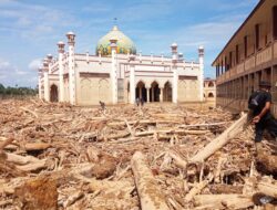 Banjir Membongkar Ilegal Logging dan Kegagalan Tata Kelola Saat Indonesia Menolak Bantuan Internasional