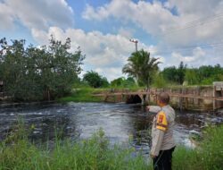 Antisipasi Banjir, Polsek Pangkalan Lesung Pantau Debit Air Sungai Equator