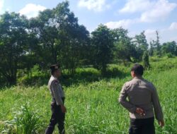 Patroli Karhutla, Polsek Pangkalan Kerinci Sosialisasikan Larangan Membakar Lahan