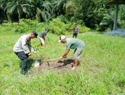Penghijauan Desa Beringin Makmur, Polsek Kerumutan Tanam Bibit Pohon