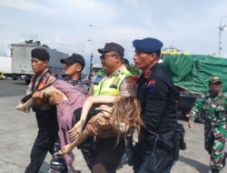 Gerak Cepat Personel Polsek Kawasan Pelabuhan Gilimanuk, Evakuasi Penumpang Kapal Pottre Koneng yang Terjatuh