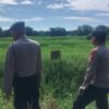 Cegah Karhutla, Polisi di Pelalawan Gencarkan Sosialisasi Larangan Pembakaran Lahan