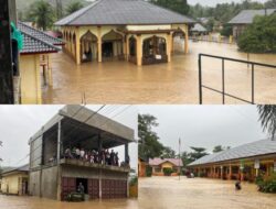 Begini Kondisi Desa Ara Bungong Hari ke 4 Rumah Hilang Puluhan Ternak Mati