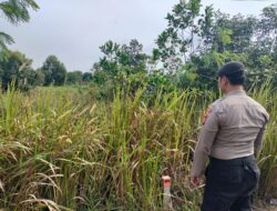 Patroli Rawan Karhutla, Polsek Pangkalan Kerinci Ingatkan Sanksi Bakar Lahan