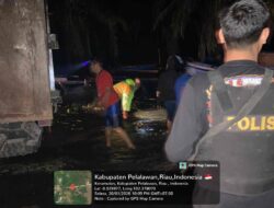 Bersama BKSDA, Polisi Kerumutan Amankan Kayu Olahan Ilegal