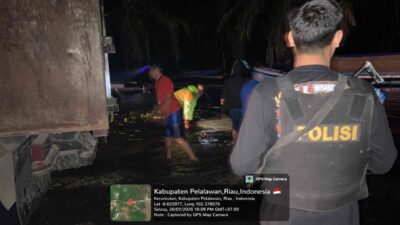 Bersama BKSDA, Polisi Kerumutan Amankan Kayu Olahan Ilegal