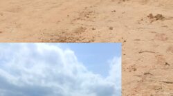 Diduga Aktivitas Galian C Tanah Timbun Belum Berizin, Warga Pertanyakan Pengawasan Aparat