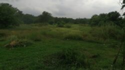 Dugaan Kejanggalan Pembebasan Tanah Untuk Lahan SMK Prambon Mangkrak Jadi Sorotan 