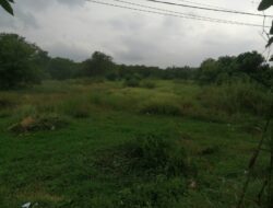 Dugaan Kejanggalan Pembebasan Tanah Untuk Lahan SMK Prambon Mangkrak Jadi Sorotan 