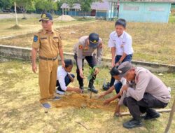 Penghijauan Lingkungan Pendidikan, Polsek Kerumutan Tanam Bibit Kelengkeng dan Manggis