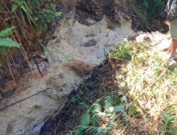 Irigasi Sambariba Horbo di Pohan Tonga Rusak Parah, Warga Harapkan Tindakan Pemkab Taput dan BPBD