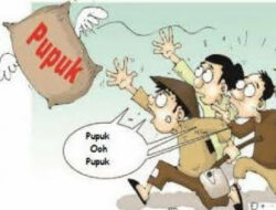 Pupuk Langka, Petani Kian Resah, Pemerhati Sosial Aceh Timur Minta Dinas Terkait Segera Turun kelapangan