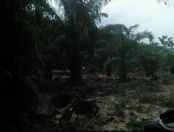 Diduga PETI Kembali Marak di Desa Tambang Emas Merangin, Warga Keluhkan Dampak Lingkungan