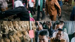 Dari Lombok Timur, Pemerintah Gaspol Swasembada Bawang Putih, NTB Jadi Andalan Nasional