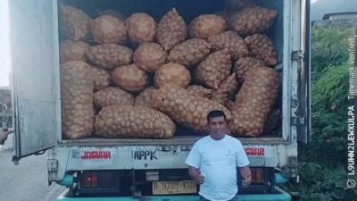 Rumah Tani Nusantara Kirim 60 Ton Kentang ke Jakarta, Harga Petani Gayo Terdongkrak Pasca Banjir
