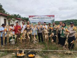 Panen Raya Jagung di Desa Makmur, Polsek Pangkalan Kerinci Terlibat Aktif
