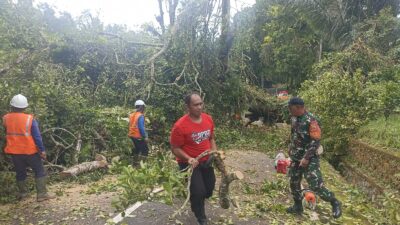 Sinergi TNI dan Instansi Terkait Bersihkan Pohon Tumbang di Jalur Utama Pura Luhur Batukau